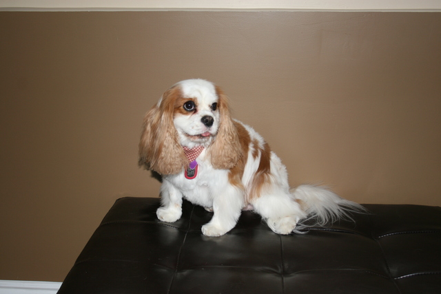 Coby after