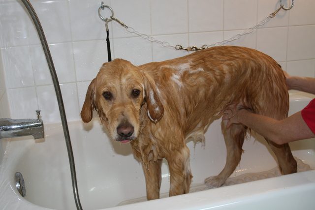 In the tub 2