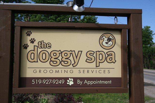 The Doggy Spa