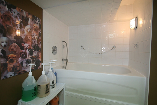 Bath area