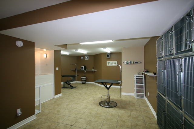Grooming area