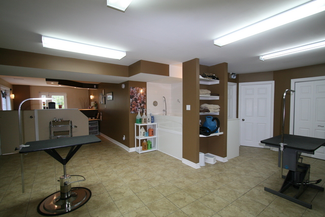 Grooming area